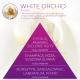 <B>WHITE ORCHID</B> wkład zapachowy do Infinity Home